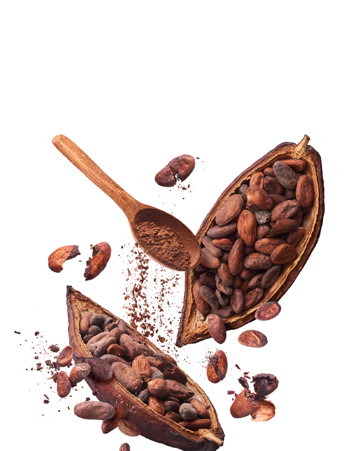 Tablette de chocolat personnalisée