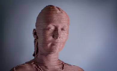 Portrait 3D en chocolat image 6
