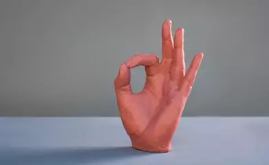 Objet trompe l'œil en chocolat image 3